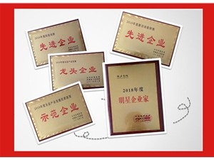 榮譽證書